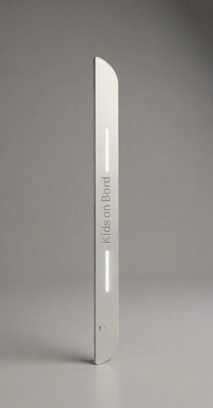 Custom LED Einstiegsleisten