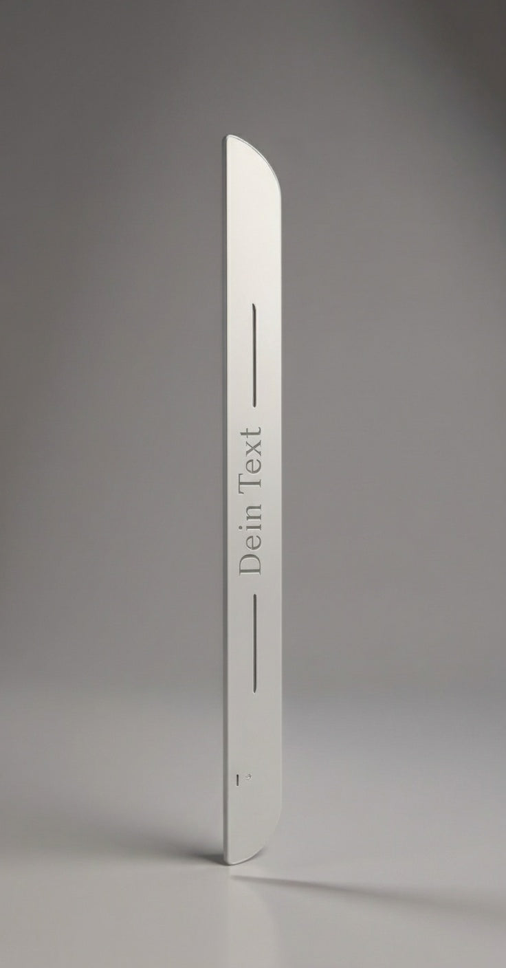 Custom LED Einstiegsleisten