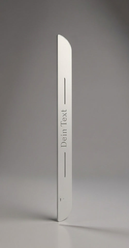 Custom LED Einstiegsleisten